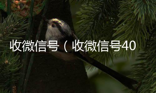 收微信号（收微信号400至1000一个）
