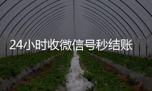24小时收微信号秒结账(收vx号秒结账)